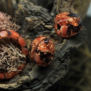 Tropfen Granat Plugs: Rosegold Tunnel, Gothic Plugs