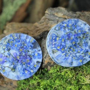 Forget Me Not Flower Plugs: Handmade Terrarium Gauges
