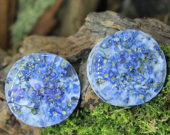 Forget Me Not Flower Plugs, Botanical Resin Tunnels, Blue Pressed Flower Gauges, Wedding gift