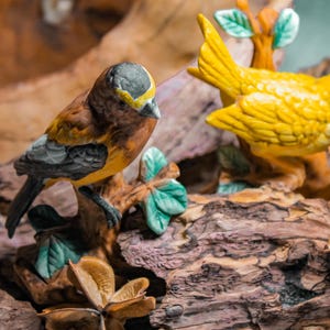 Könnte beinhalten: Zwei Keramik-Vogelfiguren auf einem dekorativen Holzsockel. Ein Vogel ist gelb, der andere ist braun mit gelben und grauen Akzenten. Der Sockel zeigt künstliche Blätter und getrocknete Blumenelemente.
