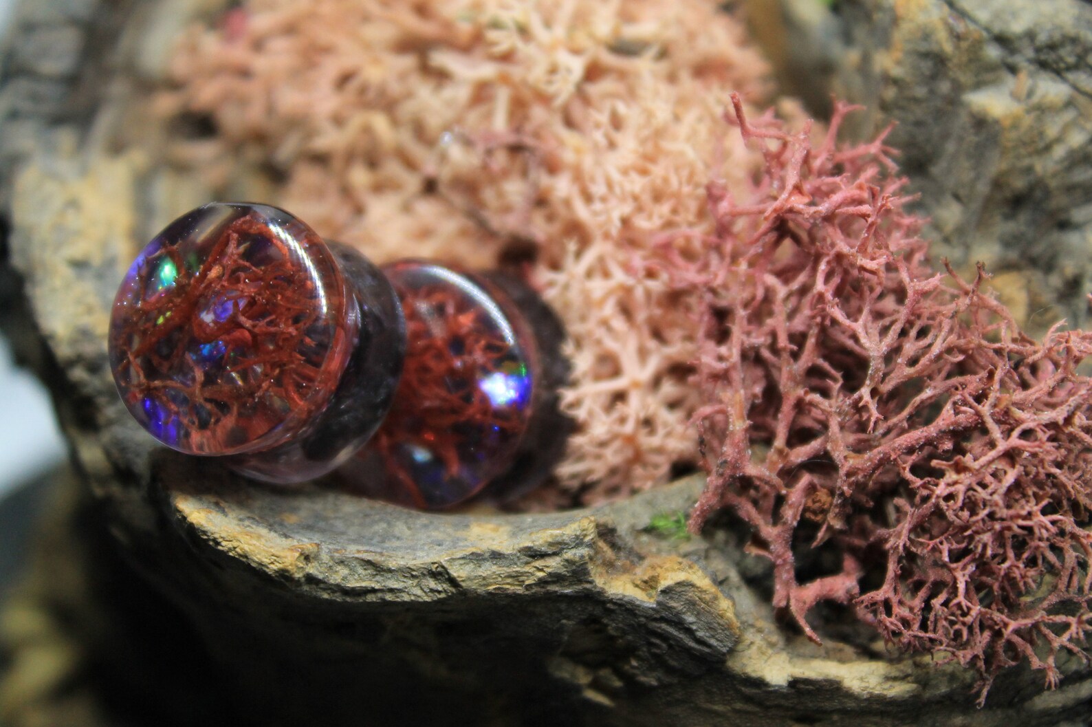 Plugs Stone Gauges Wedding Gauges Bridal Gauges 2g 0g 1 Etsy