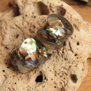 Abalone Plugs: Iridescent Rainbow Gemstone Gauges