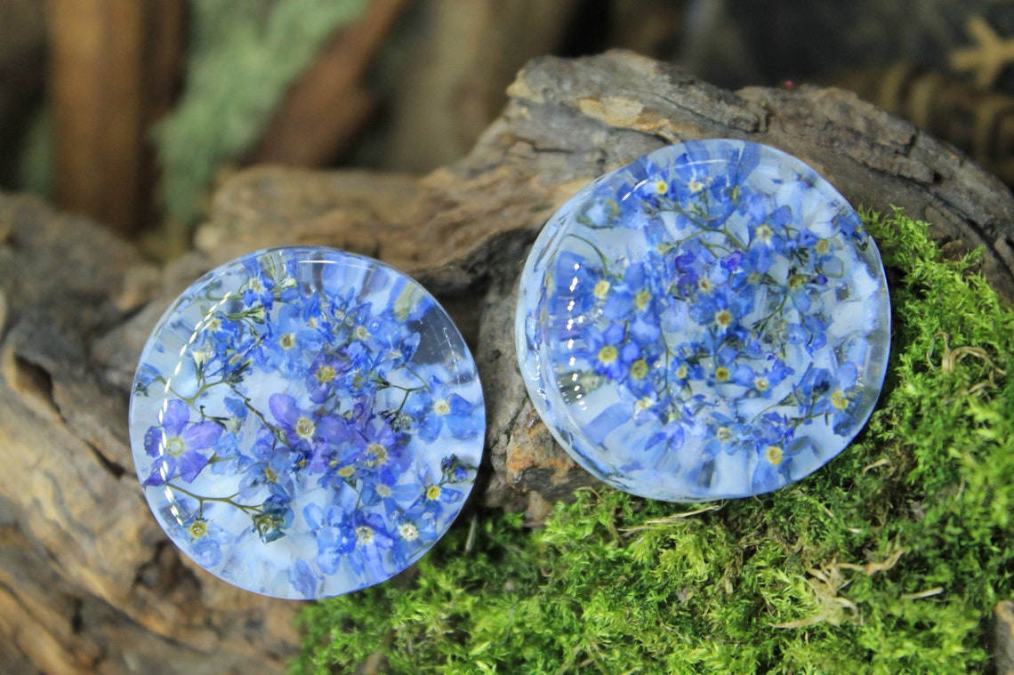 Me Not Blue Flower Plugs Wedding Gauges Pressed Flower Etsy