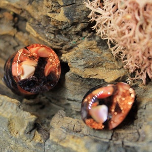 May include: Two round, clear resin cabochons with embedded pieces of pink and orange shell and copper flakes. The cabochons are set against a rustic wooden background.