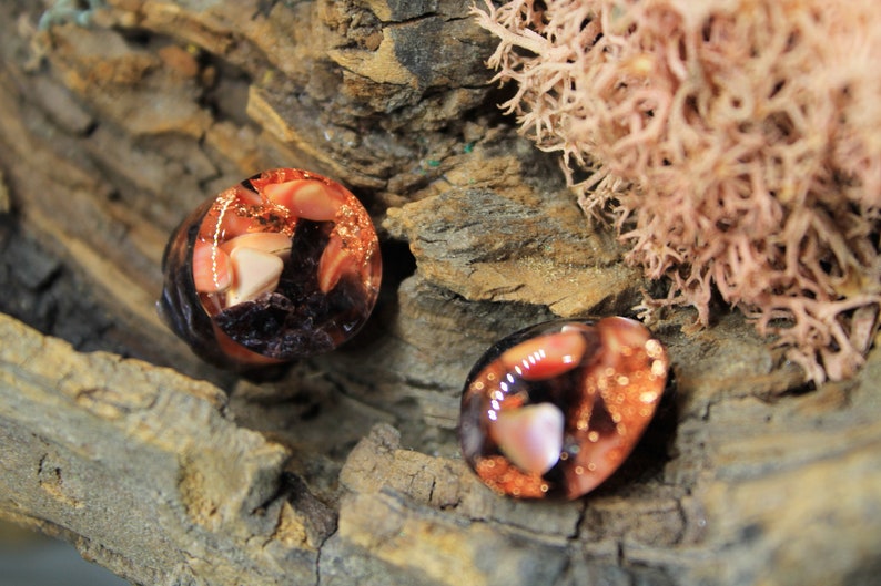 May include: Two round, clear resin cabochons with embedded pieces of pink and orange shell and copper flakes. The cabochons are set against a rustic wooden background.