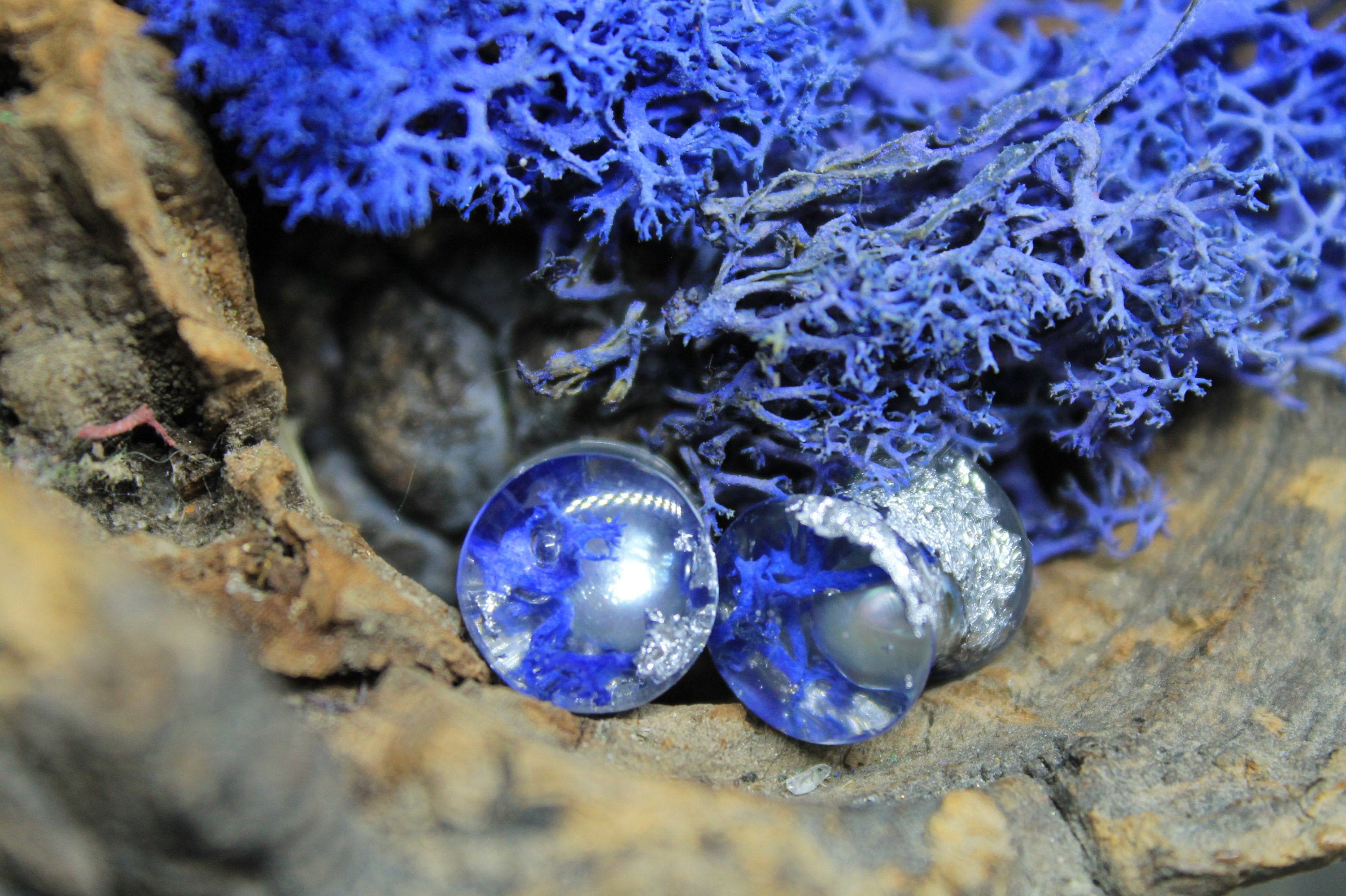 Blue Moss Terrarium Plugs, Silver Leaf Resin Gauges, Pearl Blue Ear…