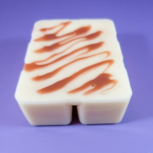 Wax Tart Parasoy Wax Melt Wickless Scented Wax Melt Cinnamon Spiced Vanilla Strongly Scented Wax Melts Oval Scent Shot