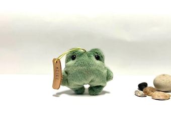 Personalized Pocket Frog Plush Toy: Worry Pet, Anxiety Stress Relief, Sensory Plushie, Fidget Adult