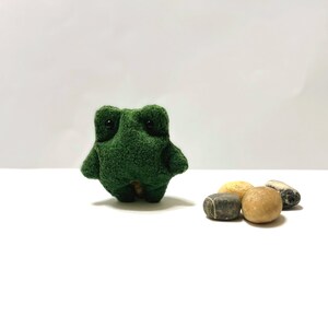 K&ouml;nnte beinhalten: Ein kleiner gr&uuml;ner Pl&uuml;schfrosch mit schwarzen Augen sitzt auf einer wei&szlig;en Oberfl&auml;che neben vier glatten Steinen. Zwei der Steine sind hellbraun und zwei sind dunkelgrau.