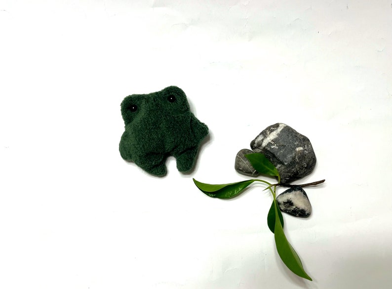 K&ouml;nnte beinhalten: Ein gr&uuml;nes Pl&uuml;sch-Froschspielzeug mit schwarzen Augen, das auf einer wei&szlig;en Oberfl&auml;che mit zwei grauen Steinen und einer gr&uuml;nen Pflanze liegt.