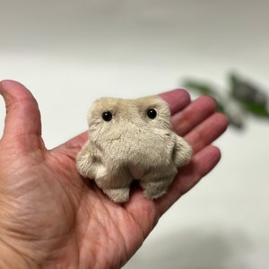 Pocket Frog Plush Toy: Worry Pet, Weighted Bean Bag, Anxiety Relief Animal