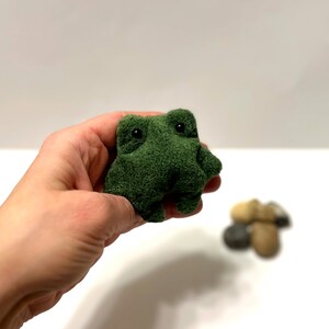 K&ouml;nnte beinhalten: Ein kleiner gr&uuml;ner Pl&uuml;schfrosch mit schwarzen Augen. Der Frosch sitzt in einer Hand.