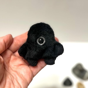 May include: A small black plush octopus with a single black button eye. The octopus is sitting in the palm of a hand.