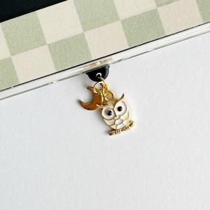 Kindle Charm, Dust Plug, USB Type C, Phone Charm