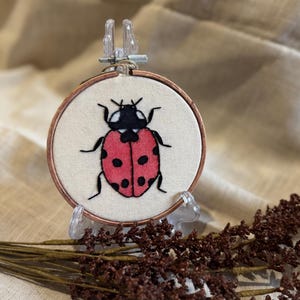 Può includere: Un piccolo telaio da ricamo rotondo con un disegno di coccinella. La coccinella è rossa con pois neri e una testa nera, su un tessuto color crema. Il telaio ha una cornice color rame ed è esposto su un supporto trasparente.