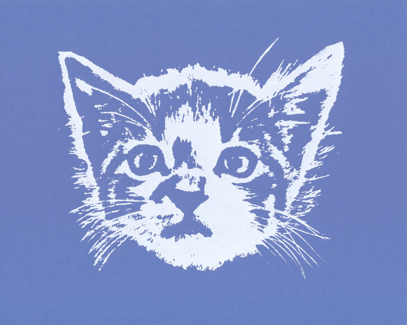 Cat Art Print, Cat Wall Art, Kitten Art, Kitten Print, Cat Decor