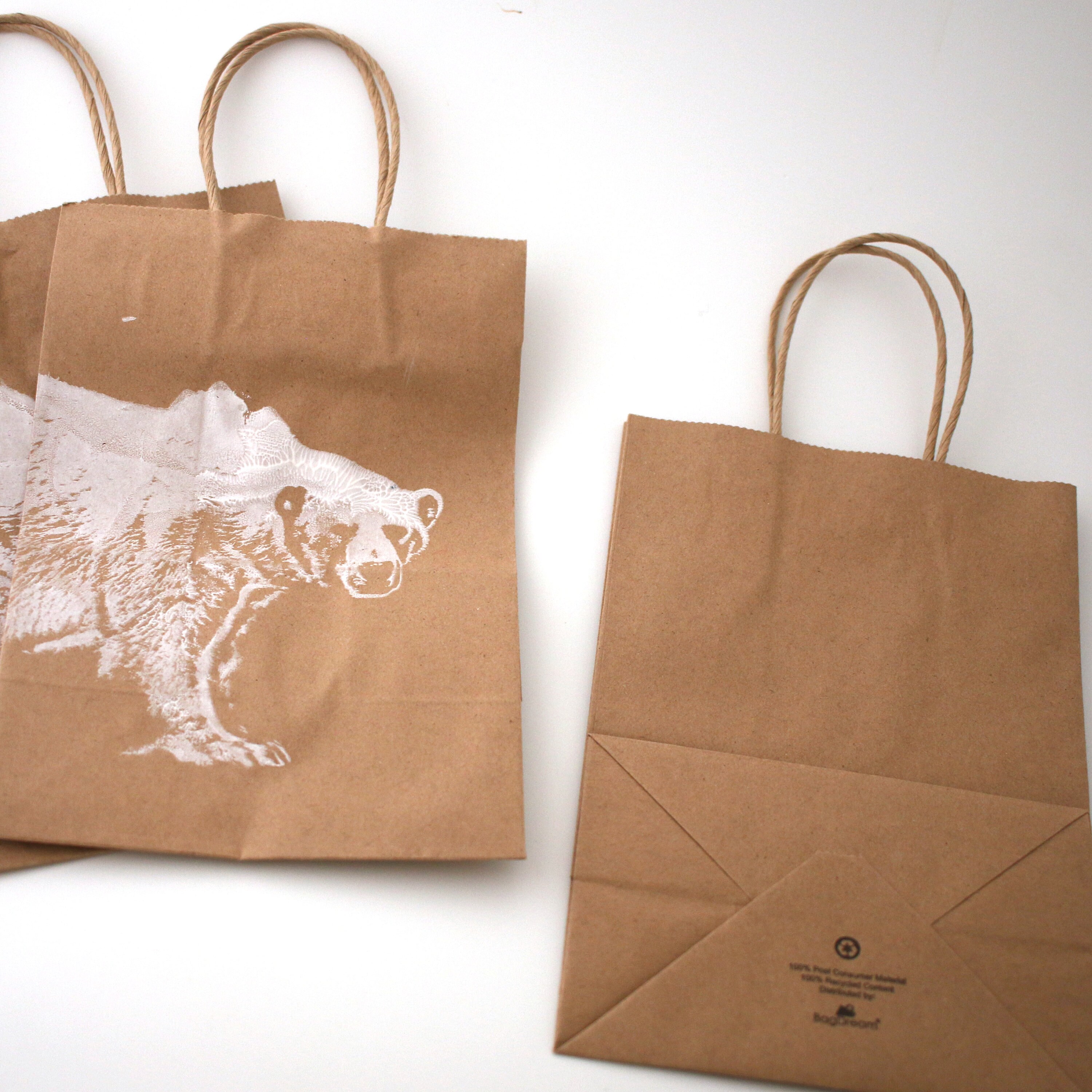 Set of 3 Polar Bear Bags, Polar Bear Bags, Zoo Gift, Bear Gift, Bear