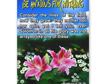 Be Anxious For Nothing Canvas | Matthew 6:28-29 Lily Wall Art