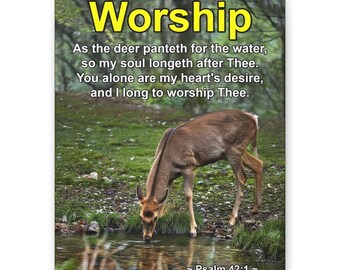 Worship Psalm 42:1 Deer Drinking Matte Canvas