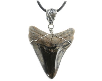 Megalodon Large Shark Tooth Jewelry Pendant Necklace Men 0619