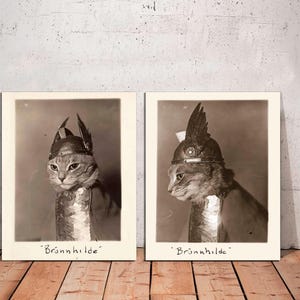 Set of 2 - Valkyrie Brunnhilde Cat Vintage Photo Print, Antique Cat Lover Art, Cat Wall Art, Cat Portrait,Cat Print on CANVAS, Ready to Hang