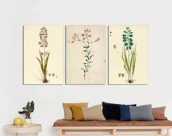 Set of 3 Vintage Botanical Canvas Prints: Rustic Neutral Wall Art