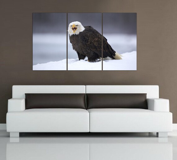 Falcon Canvas Print: Wildlife Photography, Stretched on 1.5" Frame