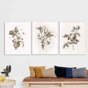 Set of 3 Vintage Botanical Prints, Vintage Neutral Botanical Art,Antique Botanical Art, Rustic Botanical wall Art CANVAS Print READY to HANG