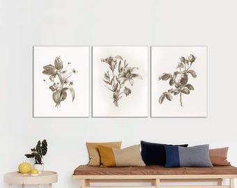 Set of 3 Vintage Botanical Canvas Prints: Neutral Antique Wall Art