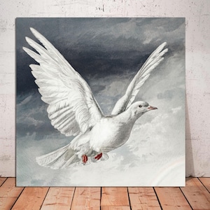 White Pigeon Canvas Wall Art CANVAS, Vintage Bird Painting Print, Kids Vintage Wall Decor,Dove Art, Dove of Peace Canvas Print Ready to Hang