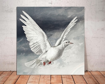 Vintage Dove Painting: White Pigeon Canvas Print, Ready to Hang