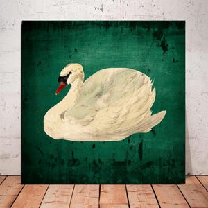 Mute Swan Canvas Print: Vintage Dark Swan Art, Ready to Hang