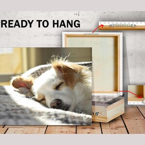 Custom Photo Canvas Print: Gallery Wrapped, Ready to Hang image 2