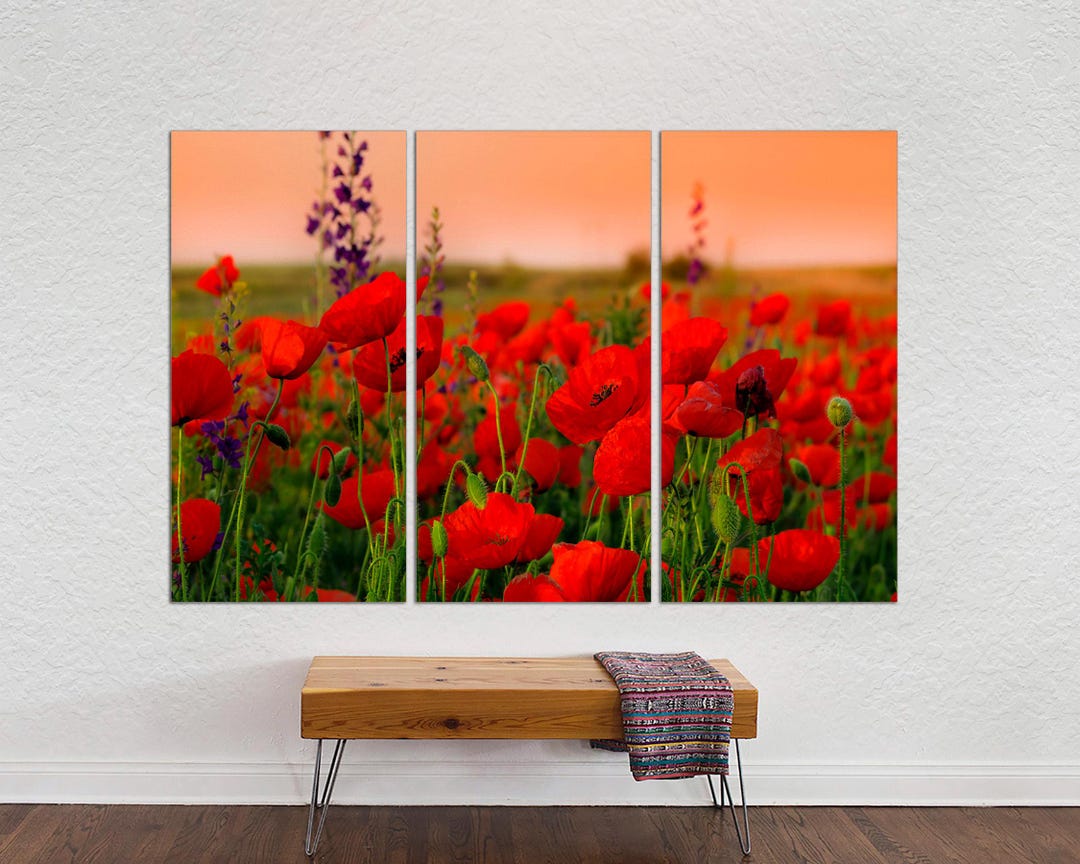 Red Poppy Field Canvas Print: 3-panel Botanical Wall Art - Etsy
