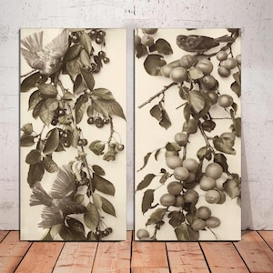 Juego de 2 lienzos listos para colgar, albaricoques y cerezas colgantes con pájaros, impresión de arte de pared vintage con pájaros y árboles, arte vintage con pájaros sobre lienzo