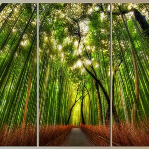 May include: A panoramic view of a lush bamboo forest with tall green stalks and a path leading through the center. Sunlight filters through the leaves, creating a dappled effect on the ground.