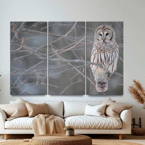 Barred Owl 3-Panel Canvas Wall Art, White Owl Animal Decor, Whimsical Forest Print, Contemporary wall Art, Large Owl Canvas Ready to Hang