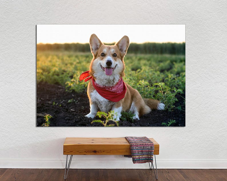 Custom Photo Canvas Print, Gallery Wrapped, Personalized Gift image 9