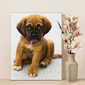Custom Photo Canvas Print: Gallery Wrapped, Ready to Hang image 9