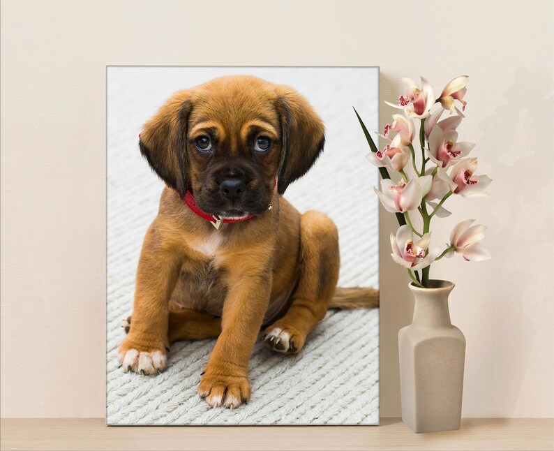 Custom Photo Canvas Print: Gallery Wrapped, Ready to Hang image 9