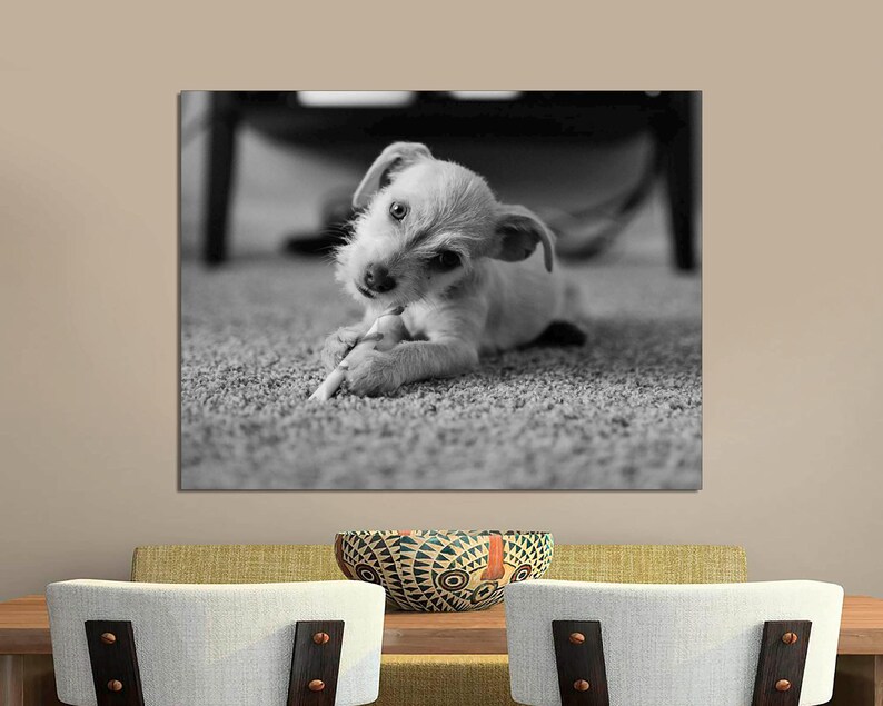Custom Photo Canvas Print: Gallery Wrapped, Ready to Hang image 8