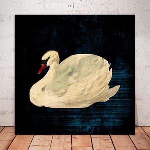 Mute Swan Canvas Print: Vintage Dark Swan Art, Ready to Hang