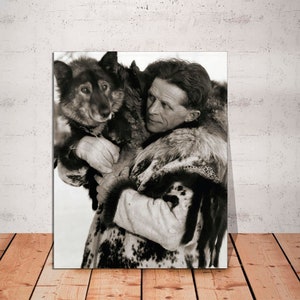 Togo Siberian Husky Art on Canvas, Alaska Sled Musher Winter Cold Alaska Wilderness Wild Dogs With Snow and Sleds CANVAS Print Ready to Hang