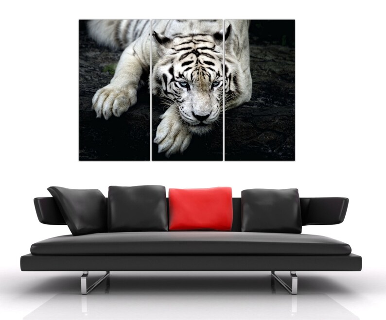 3 Panel Photo of a White Tiger Print on a Canvas. Stretched Etsy