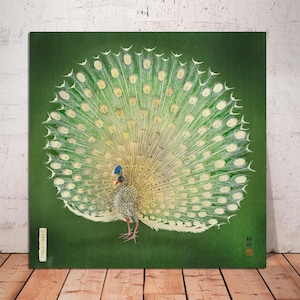 Ohara Koson, Peacock art print, Japanese white peacock Art, woodblock art, Emerald green, Elegant, Ethereal, Bird art, CANVAS Ready to Hang.