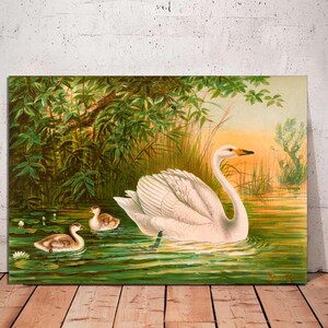 Vintage Swan Art Print on Canvas: Classic Wall Decor