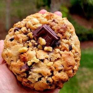 Chocolate Chips Walnut cookie | Gourmet Cookie. Homemade Cookie Recipes. Dessert Recipes. Baked Goods