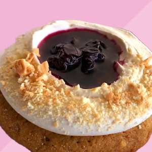 Blueberry Cookies Recipe. Gourmet Stuffed Cookies. NY Style Cookies. Homemade Cookies.