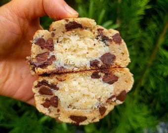 Receta de galletas de coco y chispas de chocolate. Receta de galletas gourmet. Galletas rellenas. Receta de panadería: Galleta de vainilla.