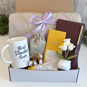 Teacher Appreciation Gift Box, Thank You Gift for Teacher, Mentor Teacher Gifts, Teacher Gifts from Students, End of Year Teacher Gift